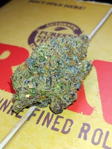 purple urkle