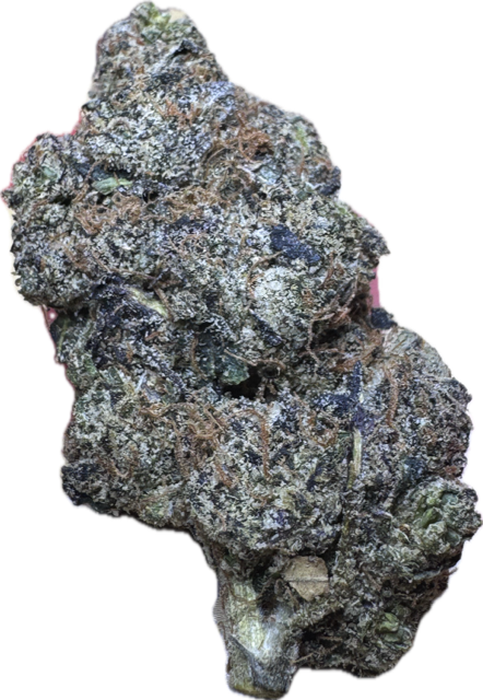 FORBIDDEN CANDY HYBRID CANDY NOSE WEED STRAIN