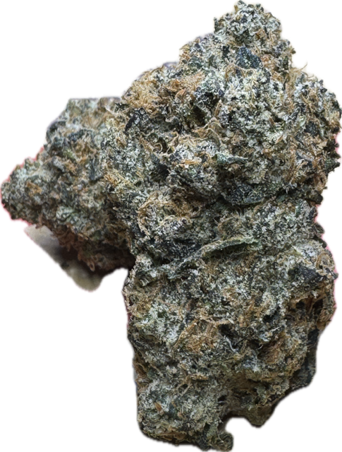 lemon tree hybrid cannabis strain