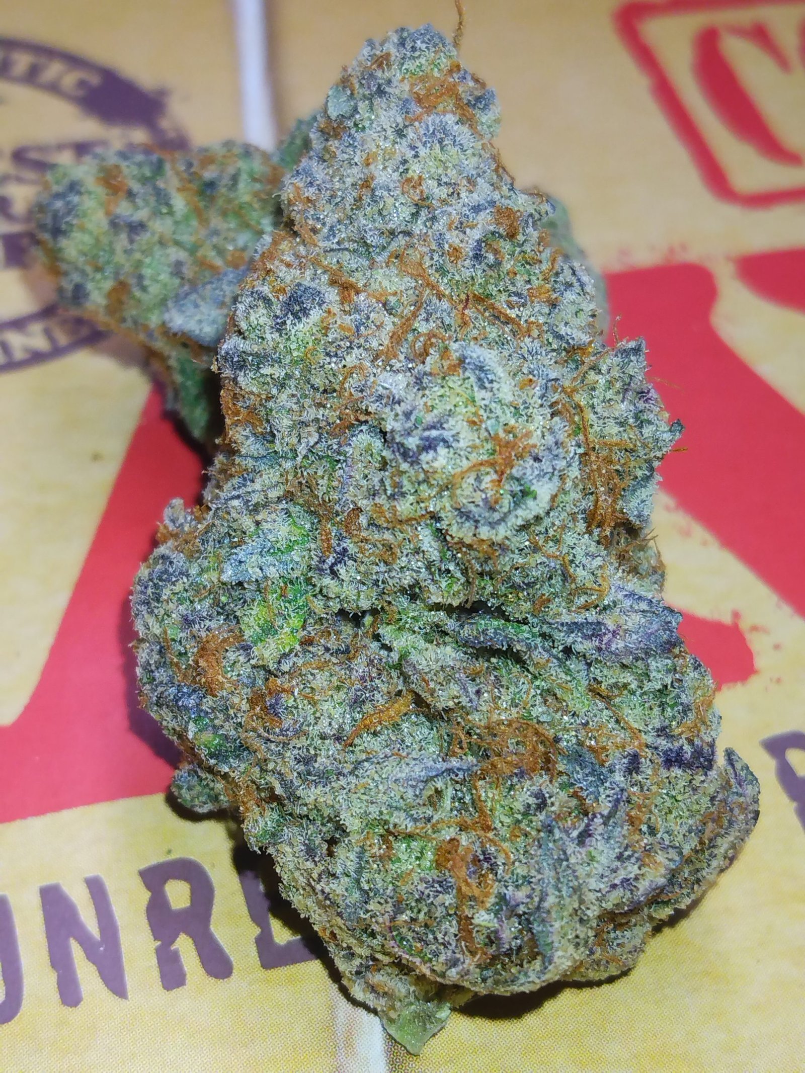 STANKY DANKY FLOWERS 🦨 GLITTER BOMB
