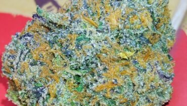 STANKY DANKY FLOWERS 🦨 GRAPE GAS