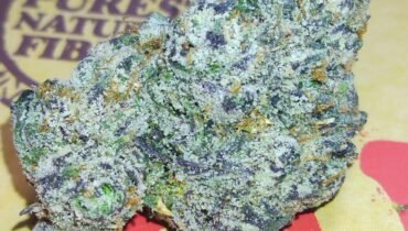 STANKY DANKY FLOWERS 🦨 BOLO RUNTZ