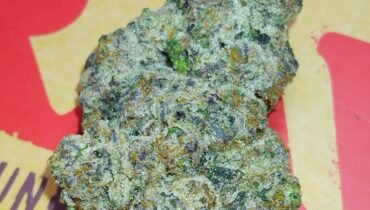 STANKY DANKY FLOWERS 🦨 KUSHBERRY