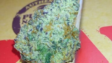 INFERNO 🔥 INDICA 🦨 STANKYDANKY420.COM