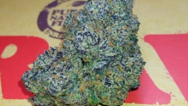 POP ROX 🔥 INDICA HYBRID 🦨 STANKYDANKY420.COM