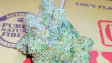 BIG MAC 🍔 HYBRID 🦨 STANKYDANKY420.COM