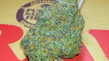 BLOW POP 🫧 INDICA HYBRID 🦨 STANKYDANKY420.COM