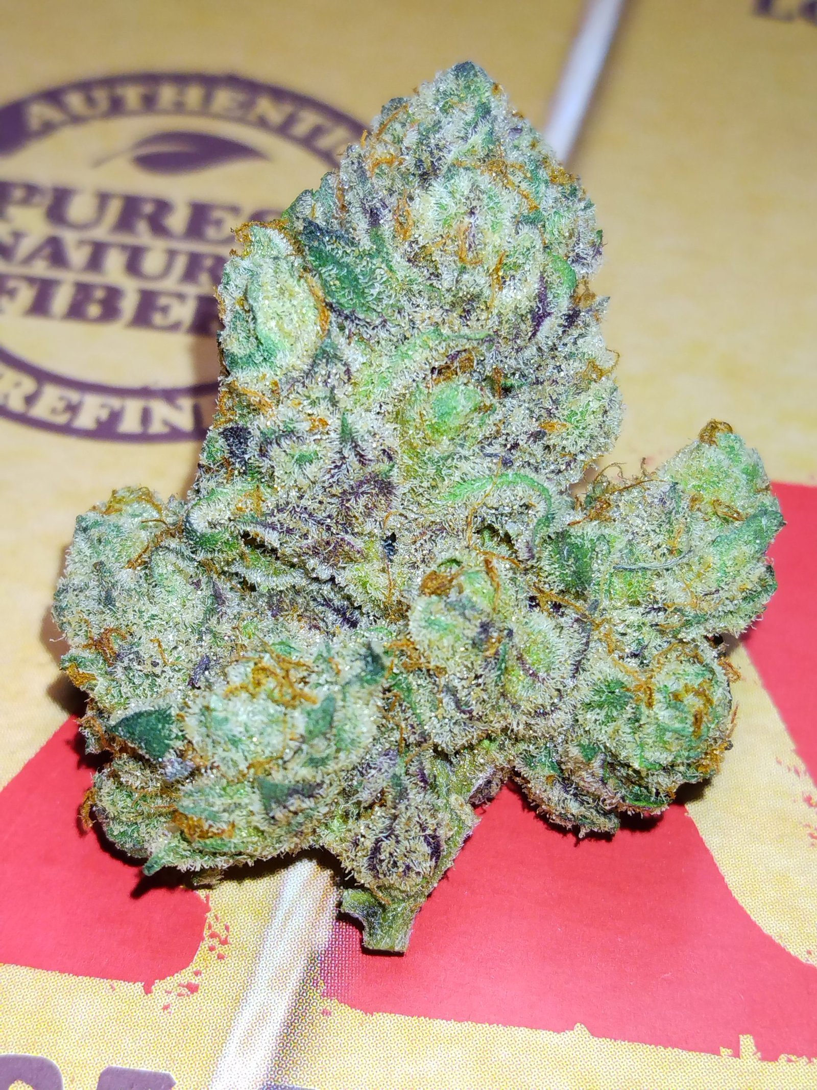 STANKY DANKY FLOWERS 🦨 Dulce De Leche