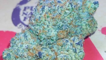 STANKY DANKY FLOWERS 🦨 WHITE CHERRIES 🍒