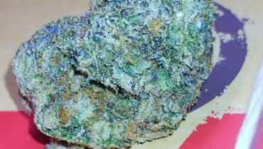 STANKY DANKY FLOWERS 🦨 BACIO GELATO