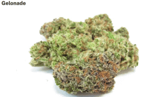 Gelonade