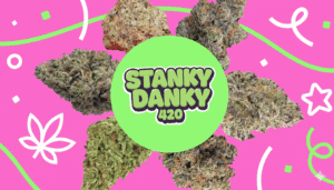Best cannabis strains of 2025