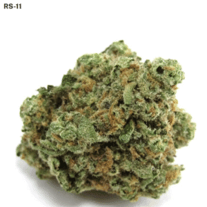 High-quality cannabis bud for review.