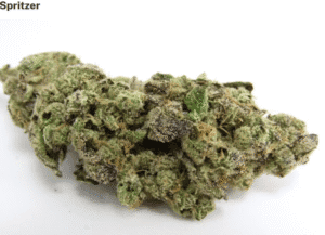 High-quality cannabis bud for optimal effects.