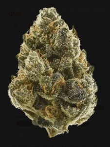 OMG Similarly, sleep off daylight savings time with this powerful indica-dominant hybrid is a fusion of GMO and Kush Mints, creating an absurdly loud, diesel-garlic funk with hints of mint and spice. The taste? Like a skunky, savory feast with a minty exhale. The high hits fast and hard, sinking you into deep relaxation with a stoned-but-aware mindset—great for movies, music, or zoning out. If you love that classic couchlock experience, OMG is the one.
