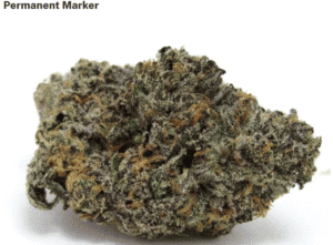 High-quality Stanky Danky cannabis bud with frosty trichomes.