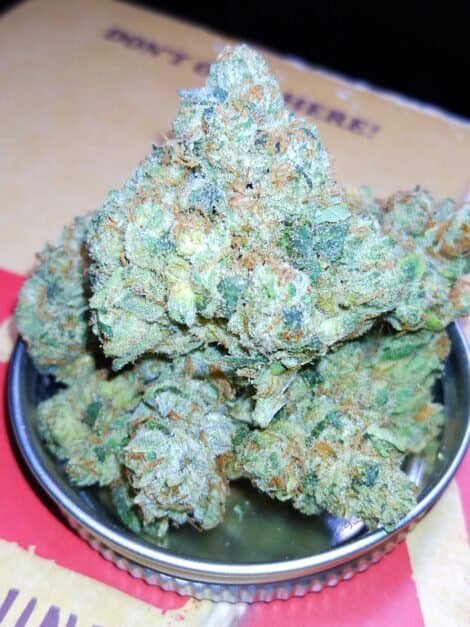 Knights Templar OG Cannabis Buds