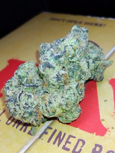 LEMON CHERRY RUNTZ EXOTIC HYBRID STRAIN