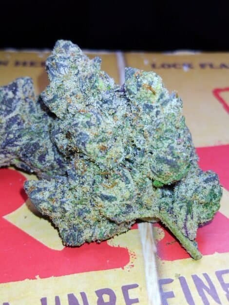 Mystery Candy Exotic Indica Hybrid