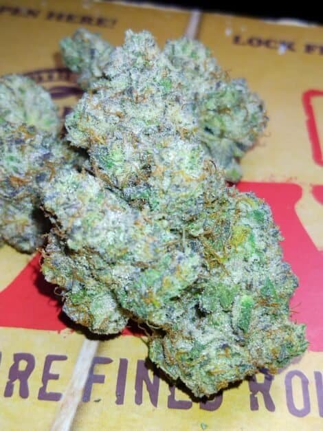 White Gotti Exotic Indica Hybrid Cannabis Buds