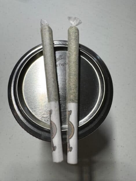 PACIFIC STONE – 2 Half Gram Prerolls