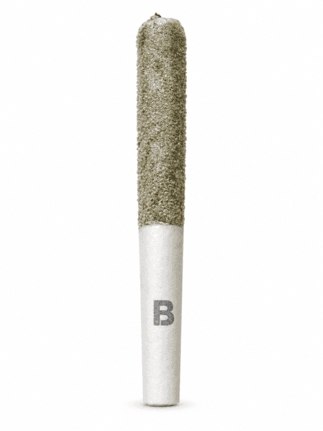 blinker pre roll