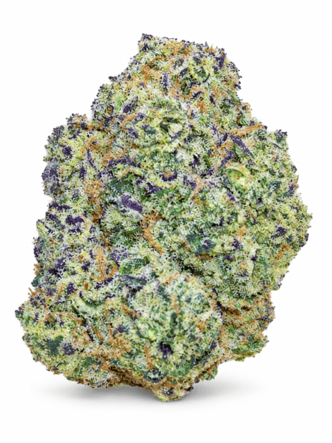 purple haze purple haze