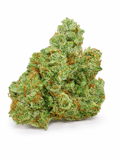 snoop snoop