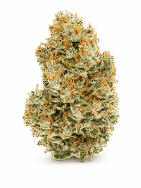 Orange Orange