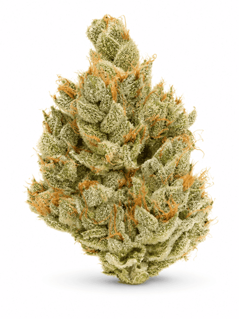 White Walker OG White Walker OG