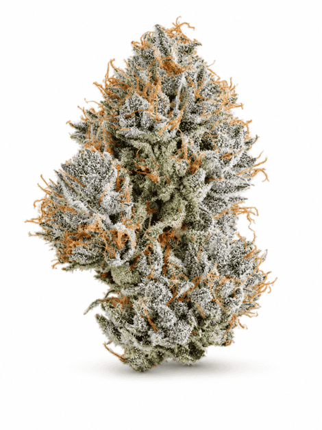 blue diamond og blue diamond og